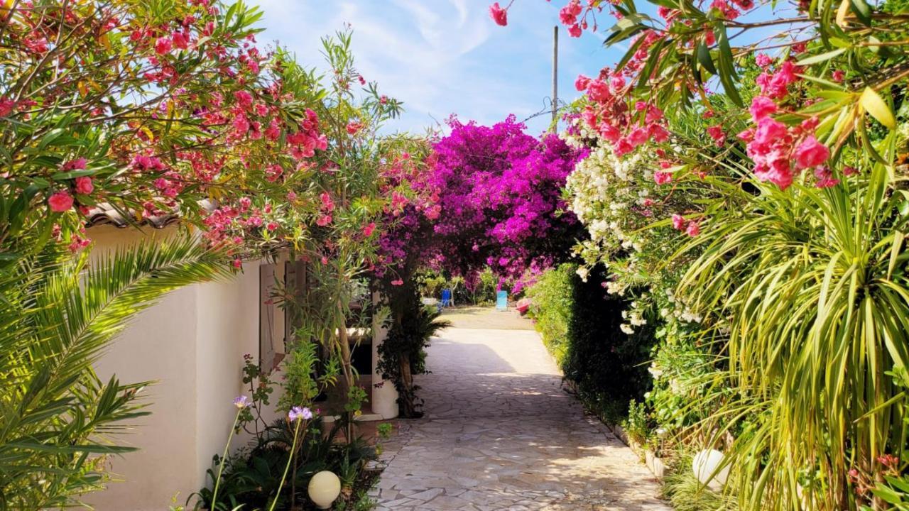 Villa Provencale A Sainte Maxime, Golf De Saint Tropez Exterior photo