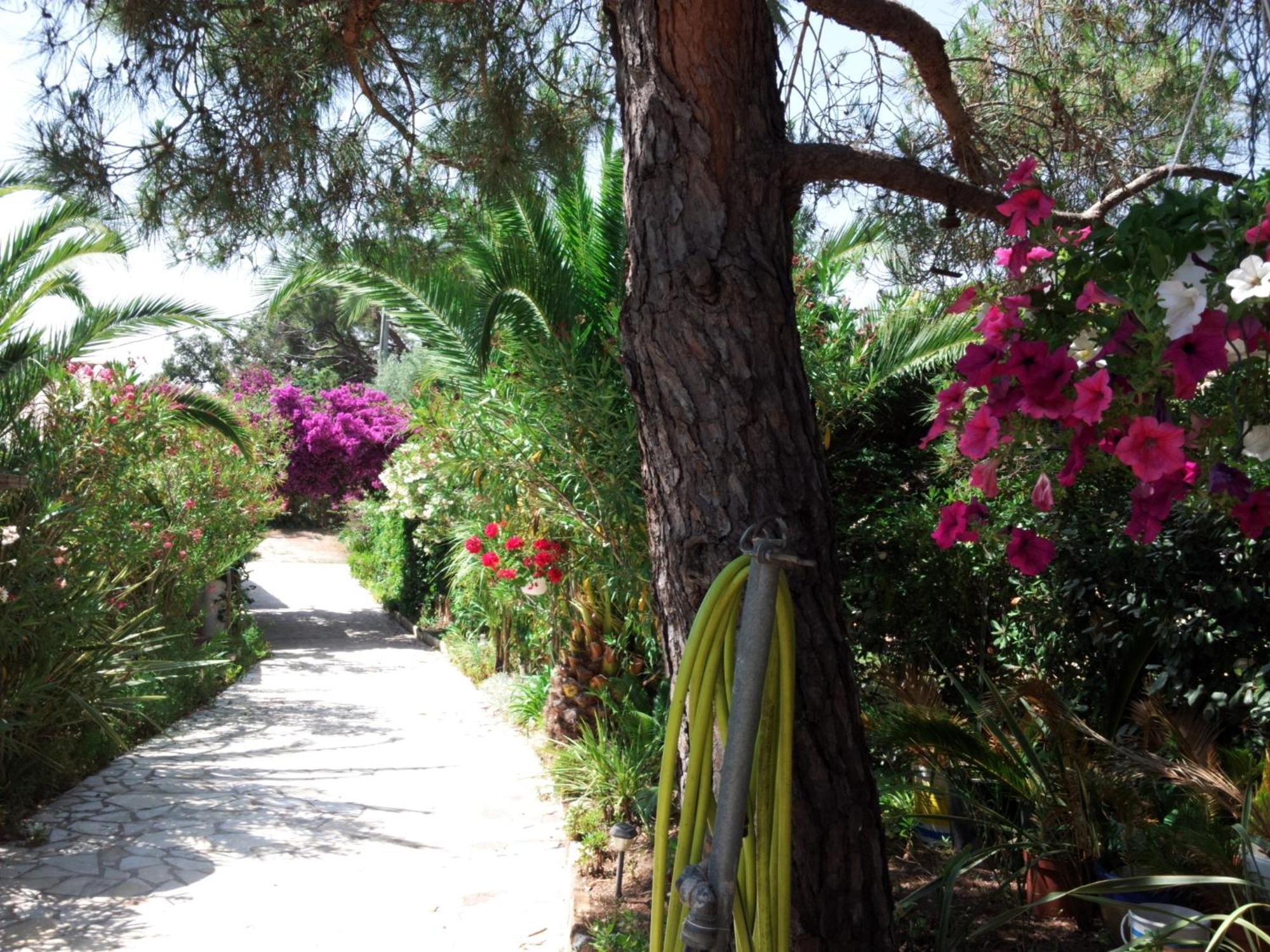 Villa Provencale A Sainte Maxime, Golf De Saint Tropez Exterior photo